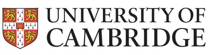 University of Cambridge MBA Interview Questions